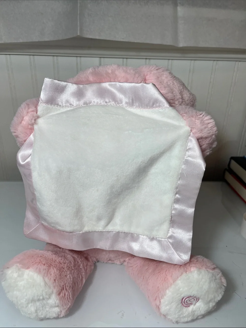 Pink Plush Puppy Lovey with Satin Trim Peek-A-Boo Stuffed Animal